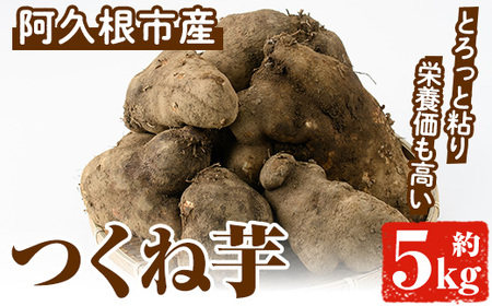 ＜先行予約受付中！2024年9月下旬以降発送予定＞つくね芋(大薯)(約5kg) 鹿児島県 阿久根市 つくね芋 大薯 だいじょ大和芋 山芋 とろろ【松永青果】a-12-298