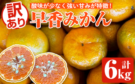 [先行予約受付中!2025年12月下旬以降順次発送予定]訳あり早香みかん(計6kg) 国産 フルーツ 果物 蜜柑 柑橘 みかん 訳あり[松永青果]akn053-39