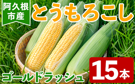 [先行予約受付中!2026年5月下旬以降順次発送予定]とうもろこし ゴールドラッシュ(15本) 国産 旬 野菜 青果 トウモロコシ 期間限定[笹原正樹]akn094-01
