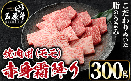 石原牛 赤身霜降りモモ 焼肉用(300g) 黒毛和牛 国産 九州産 鹿児島県産 牛肉 ブランド牛 焼肉 BBQ ヘルシー 和牛 赤身 モモ肉 健康志向 冷凍 贅沢 贅沢な一品 贈答用 ギフト用 [株式会社石原PRO]a-24-45-z