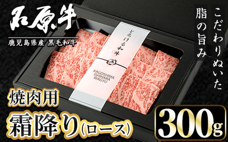 Ό ~胍[X ēp(300g) јa Y BY Y uh ē BBQ  a ~ [X Ⓚ ґ ґȈi p MtgpyАΌPROzakn083-07