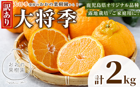 [先行予約受付中!2026年3月中旬以降順次発送予定]数量限定!訳あり・ご家庭用!おおの果樹園の「大将季」(計2kg) 訳あり 訳アリ 果物 フルーツ 果実 柑橘 露地栽培 家庭用 無加温 みかん[おおの果樹園]akn087-01