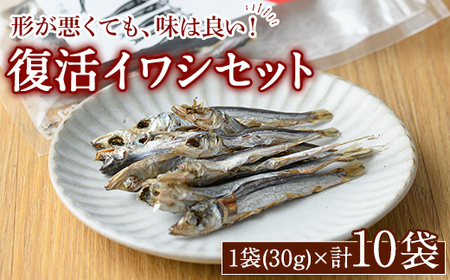 復活イワシ(10パック) おやつ お菓子 いわし イワシ 鰯 ウルメイワシ 丸干し カルシウム セット 詰め合わせ[下園薩男商店]akn086-05