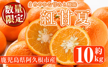 s\tI2025N12{ȍ~\聄gÉ(10kg) Y ʕ t[c k Ԍy˖승kЁzakn070-08