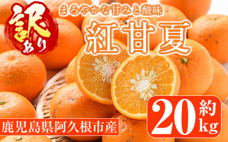 [先行予約受付中!2025年1月中旬以降順次発送予定][訳あり・傷有りの為]紅甘夏(約20kg) 国産 果物 フルーツ 柑橘 期間限定 紅甘夏[桐野柑橘株式会社]a-12-327-z