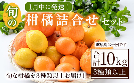 [先行予約受付中!2026年1月発送分!]旬の柑橘詰合せセット (約10kg) 国産 柑橘 果物 フルーツ 柑橘 ミカン 旬 詰合せ セット[桐野柑橘株式会社]akn070-16-m01