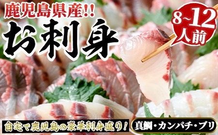 IhgBOX(8`12lO) Y hg L   Jp` u CY hg ܂ Zbg y邪Yzakn028-27