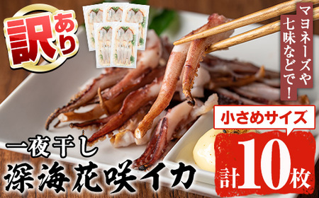 [訳あり]数量限定!深海花咲イカ(計10枚) 国産 いか 一夜干し 干物 ひもの 魚介 加工品 おつまみ おかず 訳あり[福美丸水産]a-14-46