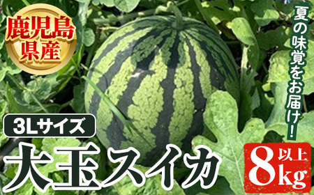 [先行予約受付中!2025年6月以降順次発送予定]鹿児島県産 大玉スイカ(3Lサイズ・1玉) 鹿児島県産 大玉スイカ(3Lサイズ・1玉) 国産 果物 スイカ すいか 西瓜 フルーツ スイーツ スムージー ジュース[松永青果]a-12-310