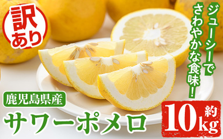s\tI2026N1ȍ~\聄󂠂T[|(10kg) Y ʕ t[c k Ö _ fU[g yiʁzakn053-16