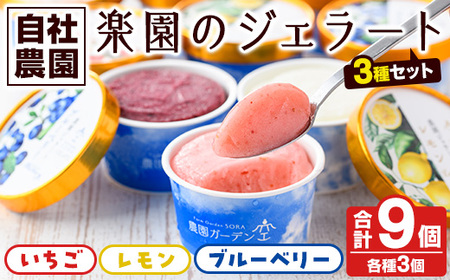 楽園のジェラート3種セット(合計9個) スイーツ デザート おやつ ジェラート アイス 夏 いちご レモン ブルーベリー 自社農園[農園ガーデン空]akn026-05