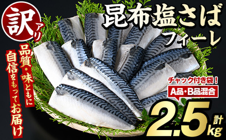 訳あり!昆布塩さばフィーレ(A品B品混合2.5kg) 大容量 ボリューム サバ 鯖 フィレ 魚介類 海産物 海鮮 海の幸 おかず おつまみ 惣菜 グリル 焼き魚 煮魚 切り身 昆布 塩サバ 脂 ご家庭用 リピート [グローバルフーズ]a-12-343-z