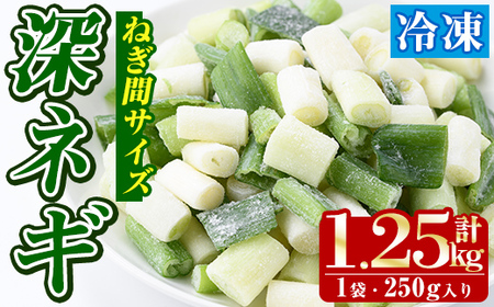 冷凍深ネギ(ねぎ間サイズ:計1.25kg・250g/袋) 野菜 冷凍 冷凍野菜 小分け ねぎ ネギ 深ネギ 小口切り 斜め切り ねぎま 簡単 手軽 小分け [合同会社グッドフィールド]a-10-59-z