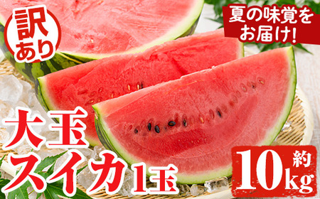 ����s�\���t���I2026�N6�����{�ȍ~���������\�聄�󂠂�I���������Y ��ʃX�C�J(1�ʁE��10kg) ���Y �ʕ� �X�C�J ������ ���Z �t���[�c �X�C�[�c �X���[�W�[ �W���[�X�y���i�ʁzakn053-21