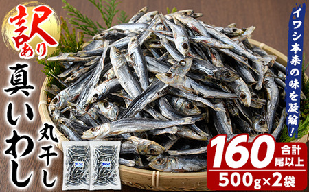 訳あり！真イワシ丸干し＜めざし＞(合計160尾以上・500g×2袋) 国産 鹿児島県産 阿久根市産 魚 魚介 水産 訳あり 訳アリ いわし 鰯 めざし マイワシ まいわし 真いわし 丸干し 丸干 チャック付き袋 【鈴木海産】akn091-02