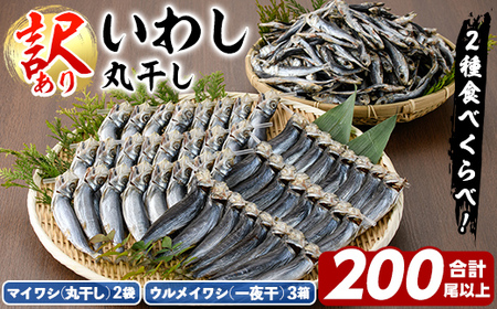 訳あり!イワシ丸干しセット(合計200尾以上) 国産 鹿児島県産 阿久根市産 魚 魚介 水産 訳あり 訳アリ いわし 鰯 ウルメイワシ うるめいわし めざし 真イワシ 真いわし マイワシ ま 丸干 一夜干 食べ比べ セット 詰め合わせ [鈴木海産]a-20-31-z