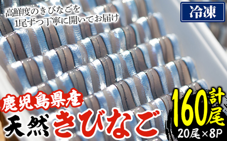 [冷凍]鹿児島県阿久根産 天然きびなごのお刺身(計160尾・20尾×8パック) 国産 魚介 魚貝 海産物 鮮魚 刺身 天ぷら 冷凍配送 キビナゴ 海鮮丼 食品 セット 詰め合わせ 水産加工品[濱崎魚類]akn023-04