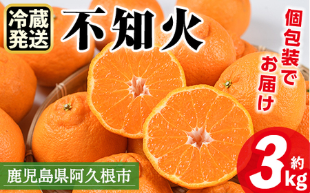 [先行予約受付中!2026年4月上旬以降順次発送予定]数量限定!冷蔵不知火「クールな大将季」(計約3kg) 国産 みかん ミカン 柑橘 フルーツ 果物 旬 デザート 数量限定 阿久根市産 露地 しらぬい シラヌイ 冷蔵 期間限定 クール [三笠農業生産]a-17-21-z