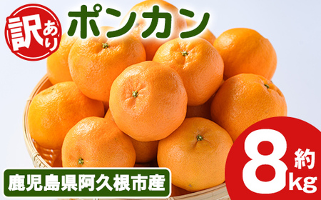 s\tI2025N12{ȍ~\聄󂠂I|J(8kg) Y |J k ʕ t[c fU[g ʎ Ԍ ʌyÓcʎzakn093-05