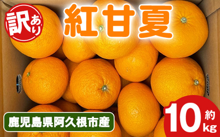 s\tI2026N2{ȍ~\聄󂠂IgÉ(10kg) Y gÉ k ʕ t[c fU[g ʎ Ԍ ʌ yÓcʎzakn093-04