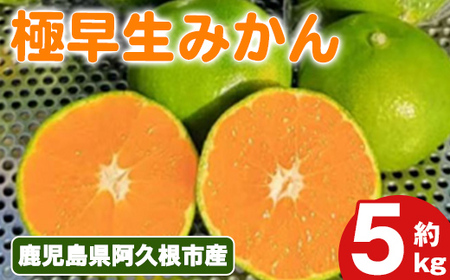 ɑ݂(5kg) Y ݂ ɑ  k ʕ t[c fU[g ʎ Ԍ ʌ yÓcʎzakn093-06