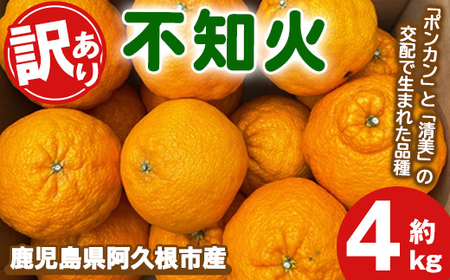 s\tI2026N3{ȍ~\聄󂠂IIn͔|̕sm(4kg) Y sm ʂ k ʕ t[c fU[g In ʎ Ԍ ʌ yÓcʎzakn093-03