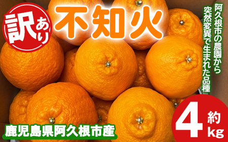 ＜先行予約受付中！2026年3月上旬以降順次発送予定＞訳あり！露地栽培の不知火(4kg：大将季) 国産 不知火 しらぬい 柑橘 果物 フルーツ デザート 露地 果実 期間限定 数量限定 【古田果樹園】akn093-07
