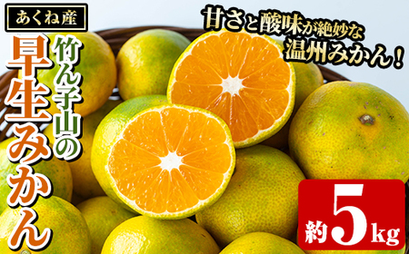 [先行予約受付中!2025年9月下旬以降順次発送予定]数量限定!竹ん子山の早生みかん(約5kg) 国産 鹿児島県産 阿久根産 ミカン 蜜柑 みかん 柑橘 果物 フルーツ 温州みかん 早生みかん 果実 期間限定 [竹ん子山]akn097-02