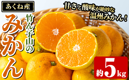 [先行予約受付中!2025年11月以降順次発送予定]数量限定!竹ん子山のみかん(約5kg) 国産 鹿児島県産 阿久根産 ミカン 蜜柑 みかん 柑橘 果物 フルーツ 温州みかん 果実 期間限定 [竹ん子山]akn097-03