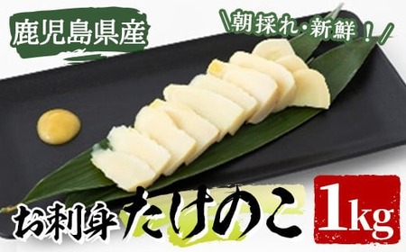[土日祝着][先行予約受付中!2026年3月上旬以降順次発送予定]お刺身たけのこ(計1kg) 国産 鹿児島県産 朝採れ タケノコ 竹の子 筍 真空パック 野菜 春 旬[上野食品]akn008-06-B