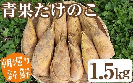 [土日祝着][先行予約受付中!2026年2月下旬以降順次発送予定]朝堀り青果たけのこ(約1.5kg) 国産 新鮮 タケノコ 青果 竹の子 筍 野菜 春 旬 期間限定[上野食品]akn008-04-B