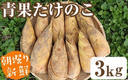 yyjzs\tI2026N2{ȍ~\聄xʂ̂(3kg) Y VN ^PmR  |̎q   t { ԌyHizakn008-19-B
