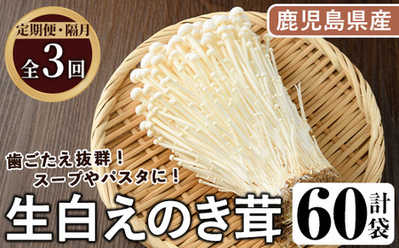 [定期便(奇数月)・全3回]生白えのき茸(計60袋・20袋×3回) 国産 エノキ きのこ キノコ 個包装 [三笠えのき茸生産組合]akn010-23