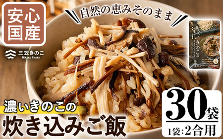 Ŷ̂₫̂gpIẐ݂̐т̑f(2p×30) Y ݖ ̂ ő  yO}̂Ygzakn010-19