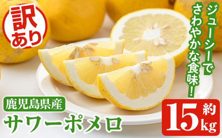 s\tI2026N1ȍ~\聄󂠂T[|(15kg) Y ʕ t[c k Ö _ fU[g yiʁzakn053-44