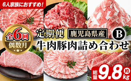 [定期便・全6回(偶数月)]6人家族用!鹿児島県産 牛肉・豚肉 詰め合わせ B (総量9.8kg) 国産 黒豚 しゃぶしゃぶ 肩 ロース スライス 訳あり 切り落とし 黒毛和牛 サーロイン ステーキ 黒豚 バラ カタ ウデ 小分け セット [スターゼン]akn042-38