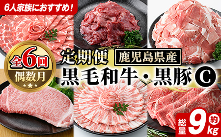 [定期便・全6回(偶数月)]6人家族用!鹿児島県産 黒毛和牛・黒豚 定期便 C (総量約9kg) 国産 黒豚 しゃぶしゃぶ 肩 ロース スライス 訳あり 切り落とし 黒毛和牛 サーロイン ステーキ バラ カタ ウデ 小分け セット [スターゼン]akn042-39