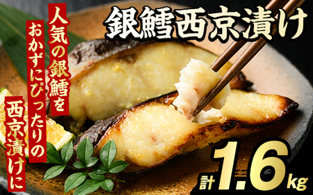 LЂ(v1.6kg)  ^  ܂ y Ћ Ђ Ă s[g  CY Ⓚ Hi H M yO[ot[Yzakn061-14