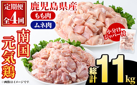 ցES4(u)YI썑C{ El(v11kg) Y BY Y  { ނ˓  {l    ܂ y邪Yza