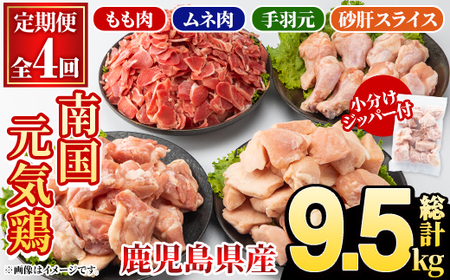 [定期便・全4回(隔月)]鹿児島県産!南国元気鶏 もも肉・ムネ肉・手羽元・砂肝スライス定期便(総計9.5kg) 国産 九州産 鹿児島産 モモ肉 鶏モモ むね肉 胸肉 鶏ムネ 手羽元 砂肝 小分け おかず おつまみ [さるがく水産]akn028-43