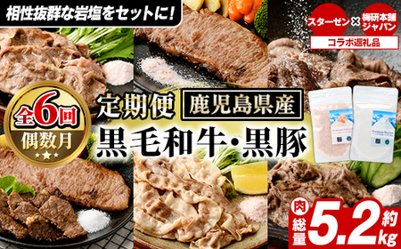 [定期便・全6回]岩塩付き!鹿児島県産黒毛和牛・黒豚定期便 (肉:総量約5.2kg/岩塩:600g) 国産 九州産 鹿児島産 牛肉 国産牛 豚肉 セット サーロイン ステーキ 切り落とし 切落し コラボ ピンク [スターゼン×梅研本舗ジャパン]akn501-04