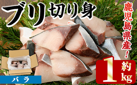 [先行予約受付中!2025年11月以降順次発送予定]ブリの切り身(バラ・約1kg) 国産 鹿児島県産 ブリ 鰤 魚貝 魚介 海産物 焼き魚 煮つけ ブリカツ バラ [株式会社島水]akn102-01