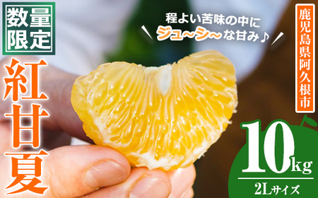[先行予約受付中!2026年3月中旬以降順次発送予定]数量限定!鹿児島県産 紅甘夏 (10kg・2L) 柑橘 フルーツ 果物 国産 みかん 期間限定 数量限定 ベニアマナツ ミカン 旬 [株式会社イロドリ]akn069-10