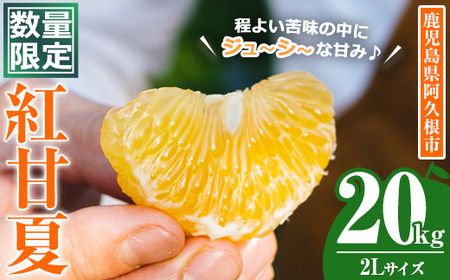 [先行予約受付中!2026年3月中旬以降順次発送予定]数量限定!鹿児島県産 紅甘夏 (20kg・2L) 柑橘 フルーツ 果物 国産 みかん 期間限定 数量限定 ベニアマナツ ミカン 旬 [株式会社イロドリ]akn069-11