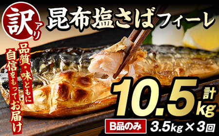 (u)ES3񁄖󂠂Iz΃tB[(Bî݁Ev10.5kg) e {[ To I  ܂ y Ă ؂g z ƒp s[g  yO[ot[Y