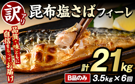 (u)ES6񁄖󂠂Iz΃tB[(Bî݁Ev21kg) e {[ To I  ܂ y Ă ؂g z ƒp s[g  yO[ot[Yz