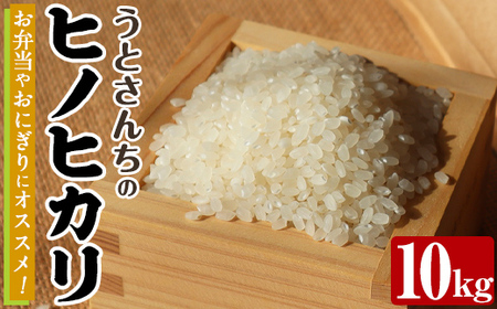 �q�m�q�J�� (10kg) ���Y �� ���� �R�� ���� �Ђ̂Ђ��� ���͂� ���� ���ٓ� ���ɂ��� �y���Ƃ��񂿁zakn067-20