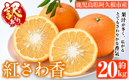 [先行予約受付中!2026年2月上旬以降順次発送予定]訳あり 紅さわ香(約20kg) 国産 鹿児島県 阿久根市 果実 果物 フルーツ 柑橘 みかん ミカン 紅甘夏 期間限定 数量限定 [桐野柑橘株式会社]akn070-19