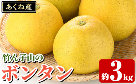 竹ん子山のボンタン(約3kg) 国産 鹿児島県産 阿久根産 柑橘 果物 フルーツ ぼんたん 文旦 果実 期間限定 [竹ん子山]akn097-11