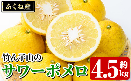 竹ん子山のサワーポメロ(約4.5kg) 国産 鹿児島県産 阿久根産 柑橘 果物 フルーツ 果実 期間限定 [竹ん子山]akn097-12